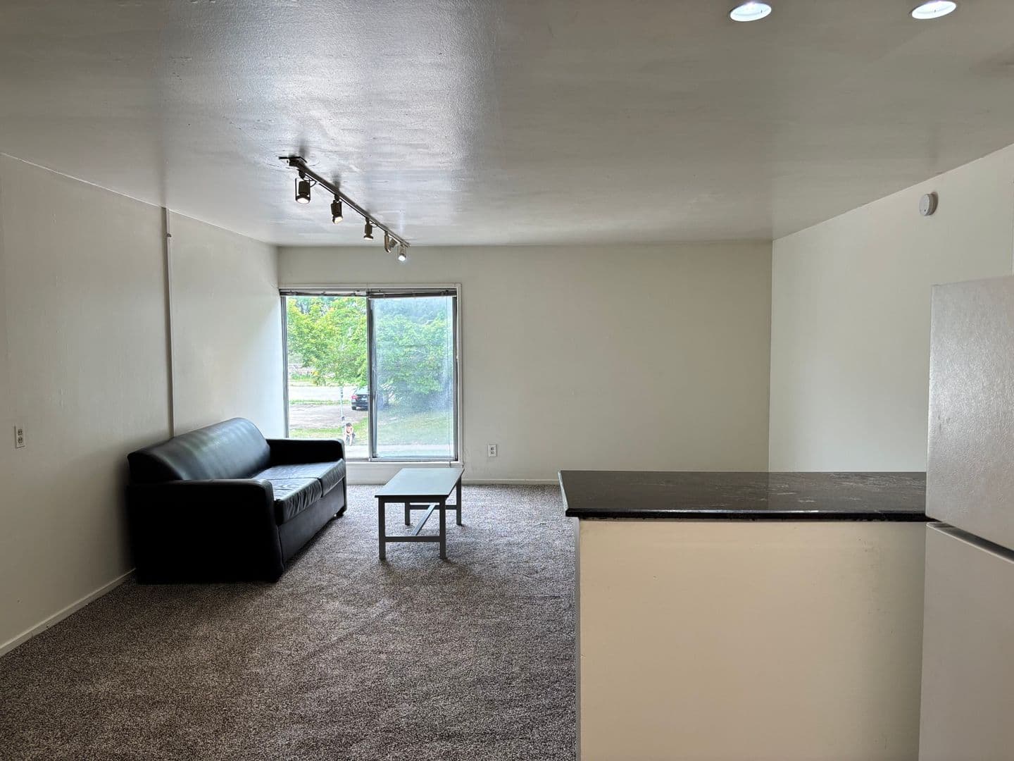 Ann Arbor Apartment: 1335 S. University Ave