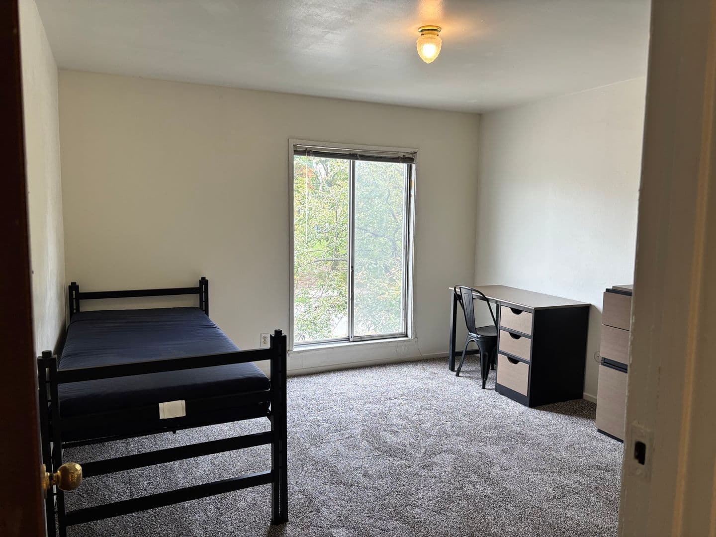 Ann Arbor Apartment: 1335 S. University Ave