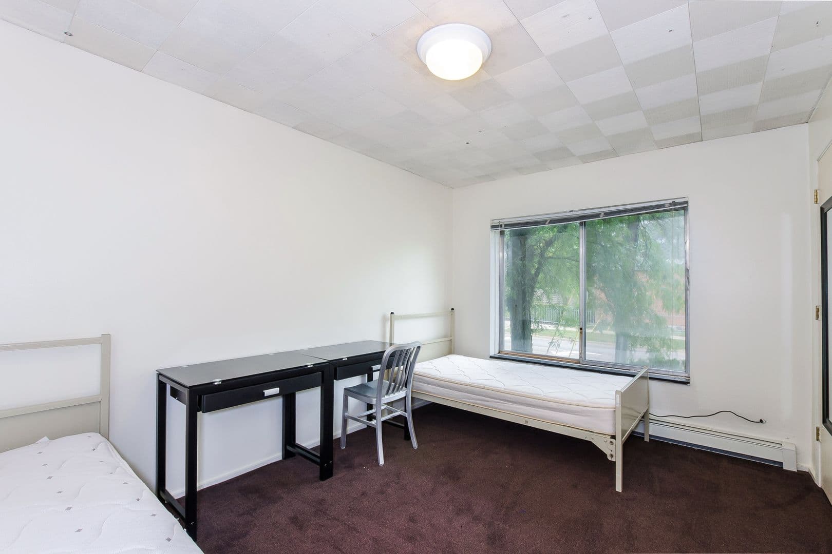 Ann Arbor Apartment: 1364 Geddes Ave