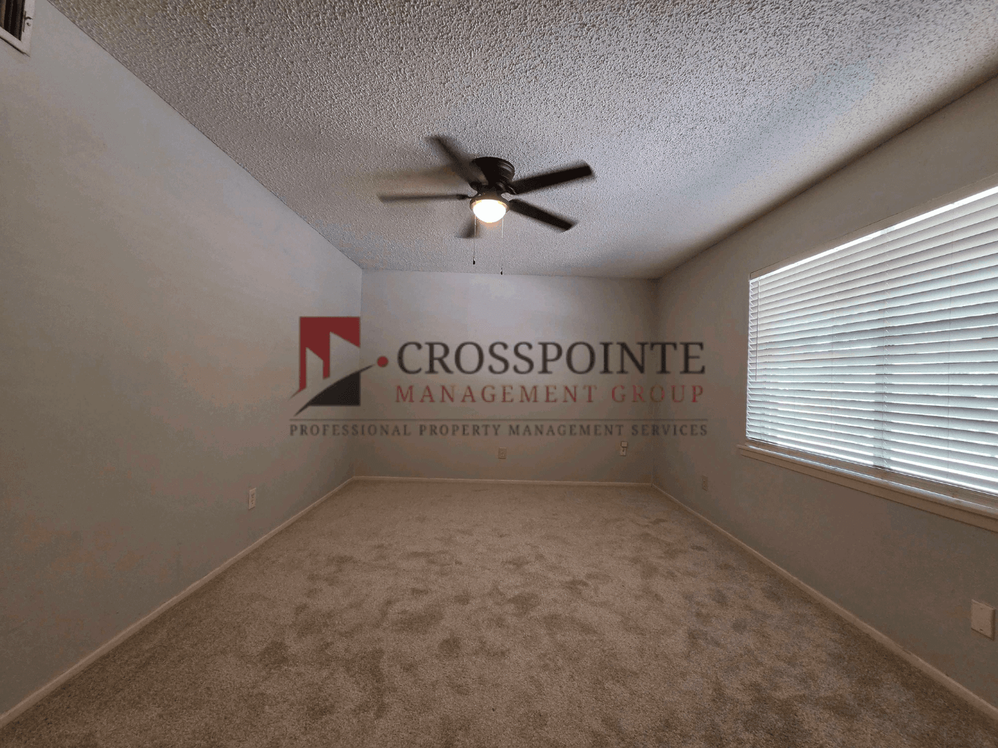 Gilmer Apartment: 113 Texas Ave