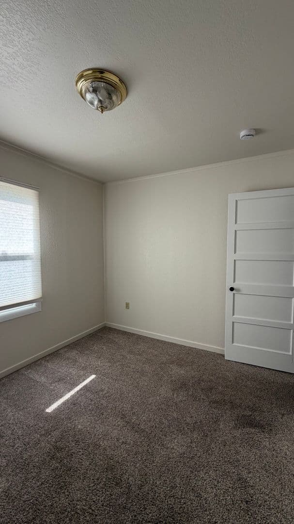 Richland Multiplex: 1211 Torbett St