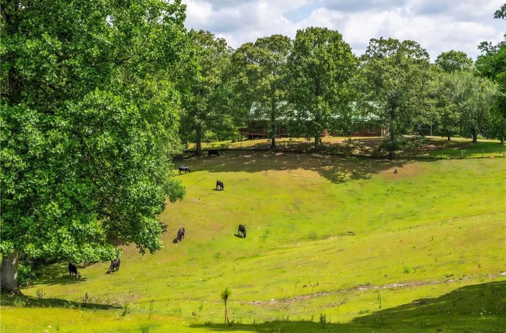 Ball Ground House: 3806 Ball Ground Road