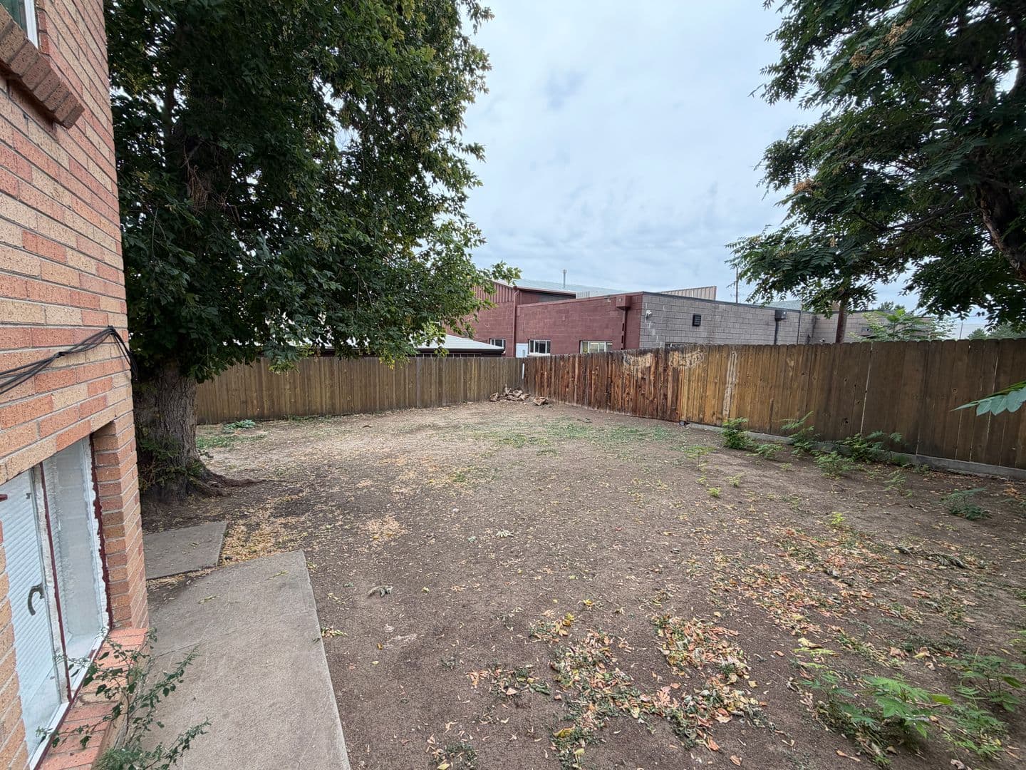 Lakewood Apartment: 7130 W 16th Place