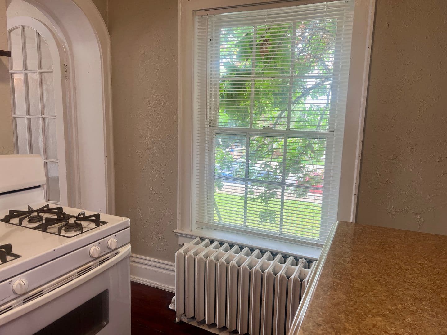 Denver Apartment: 1200 N Clarkson Street
