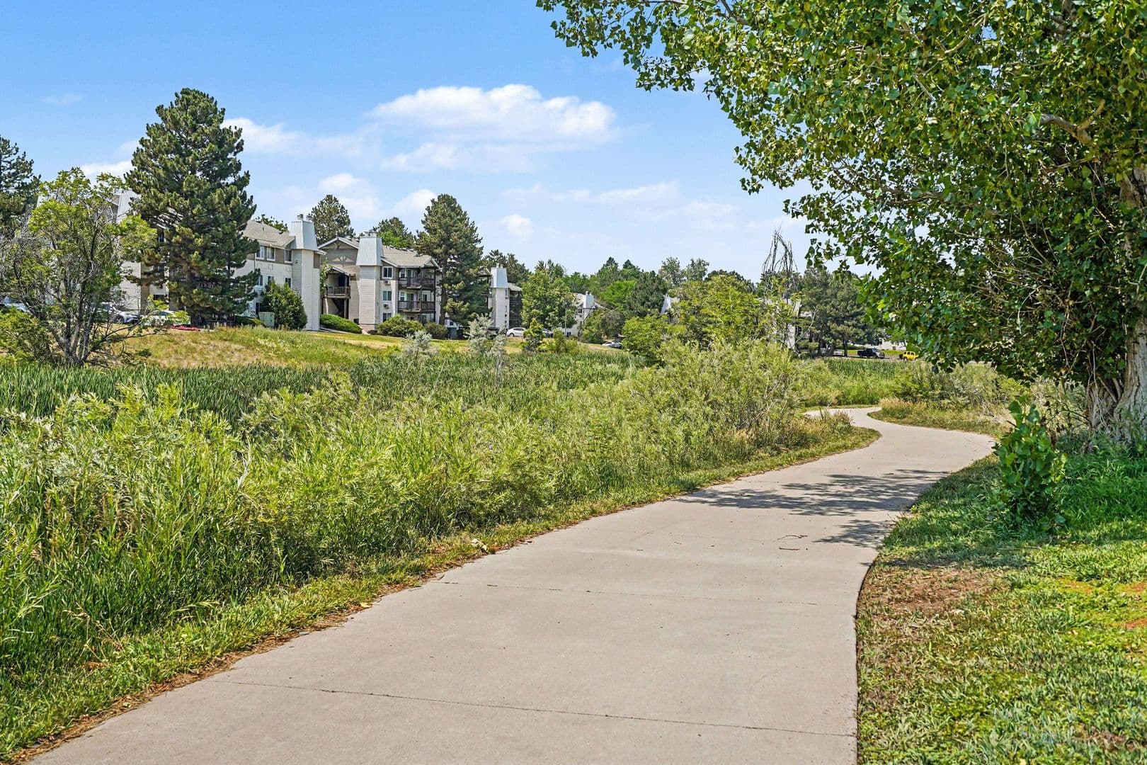 Aurora Townhome: 17649 E Loyola Drive #E