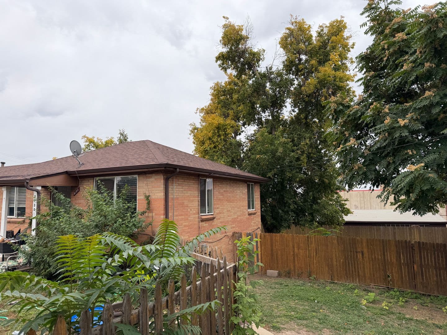 Lakewood Apartment: 7130 W 16th Place