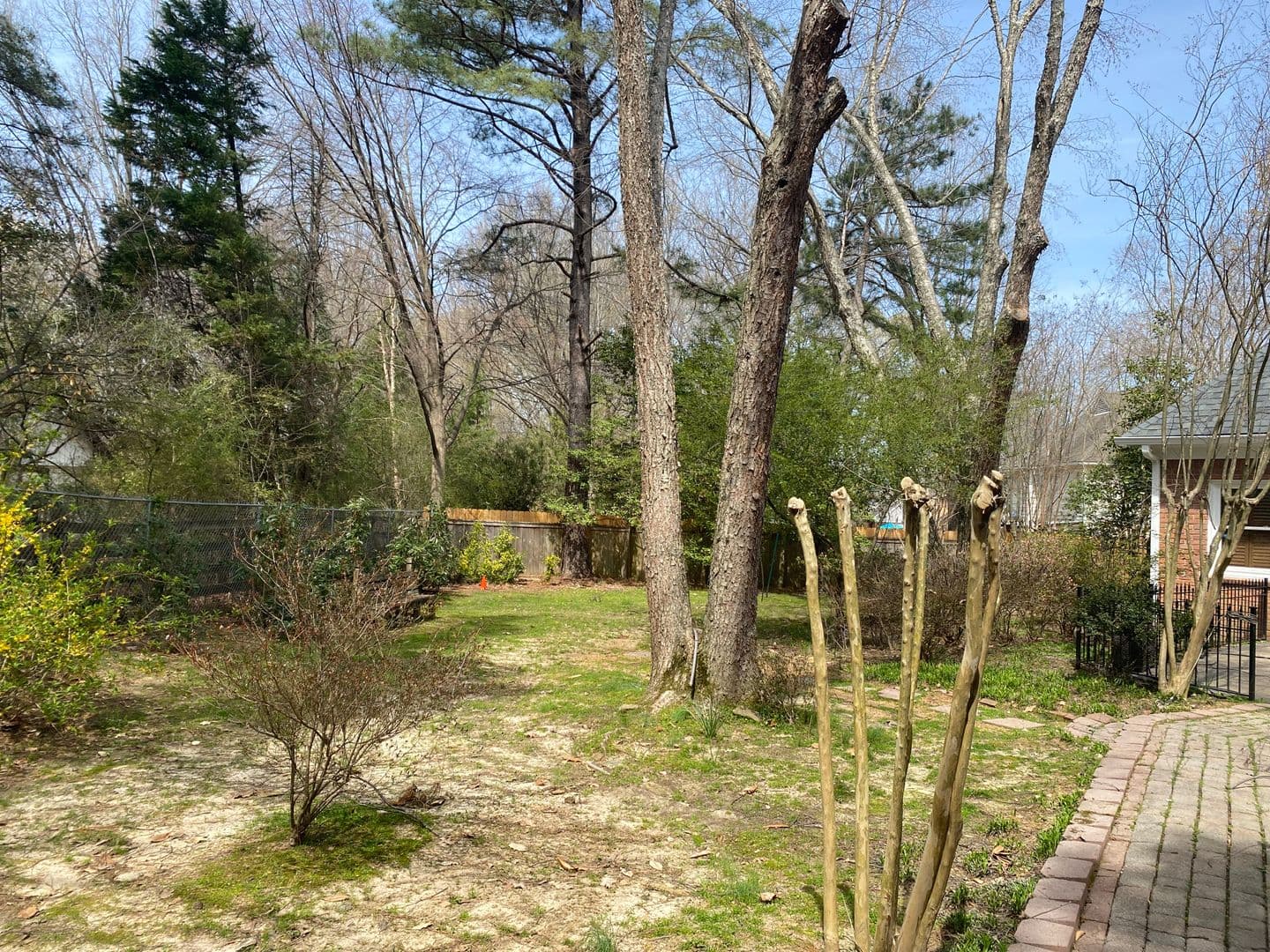 Collierville House: 857 Hickory Oaks Cr