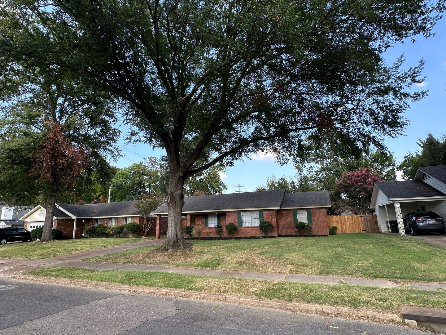 Memphis House: 1662 Vera Cruz Street