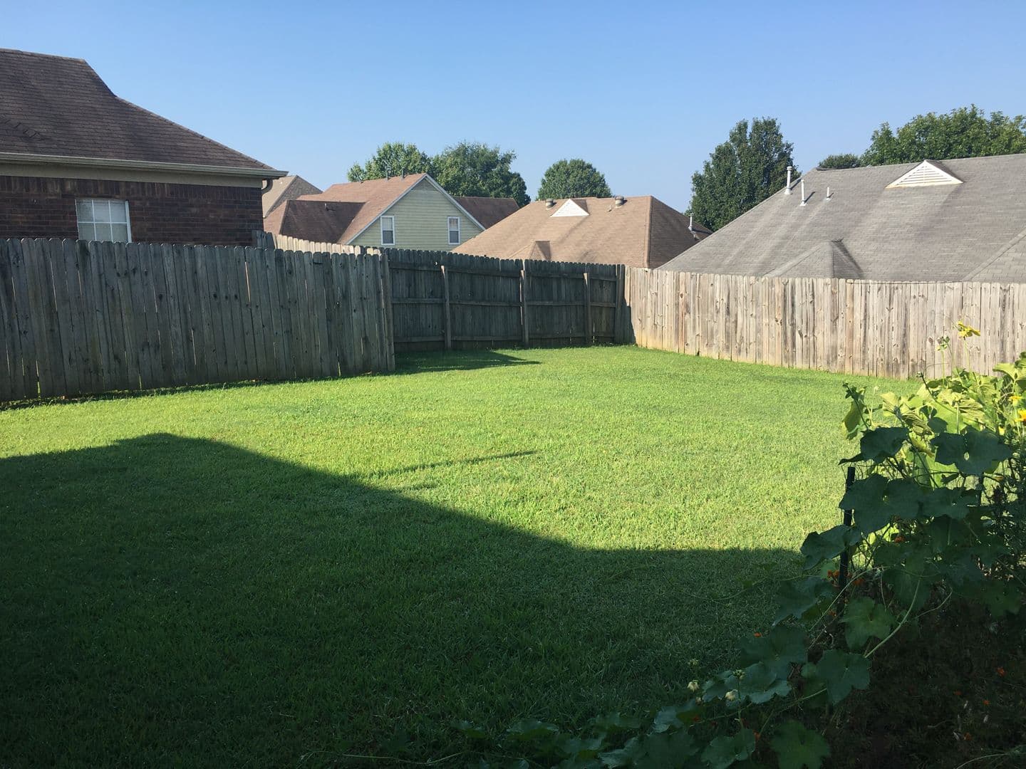 Cordova House: 1115 Red Fern Cir. E.