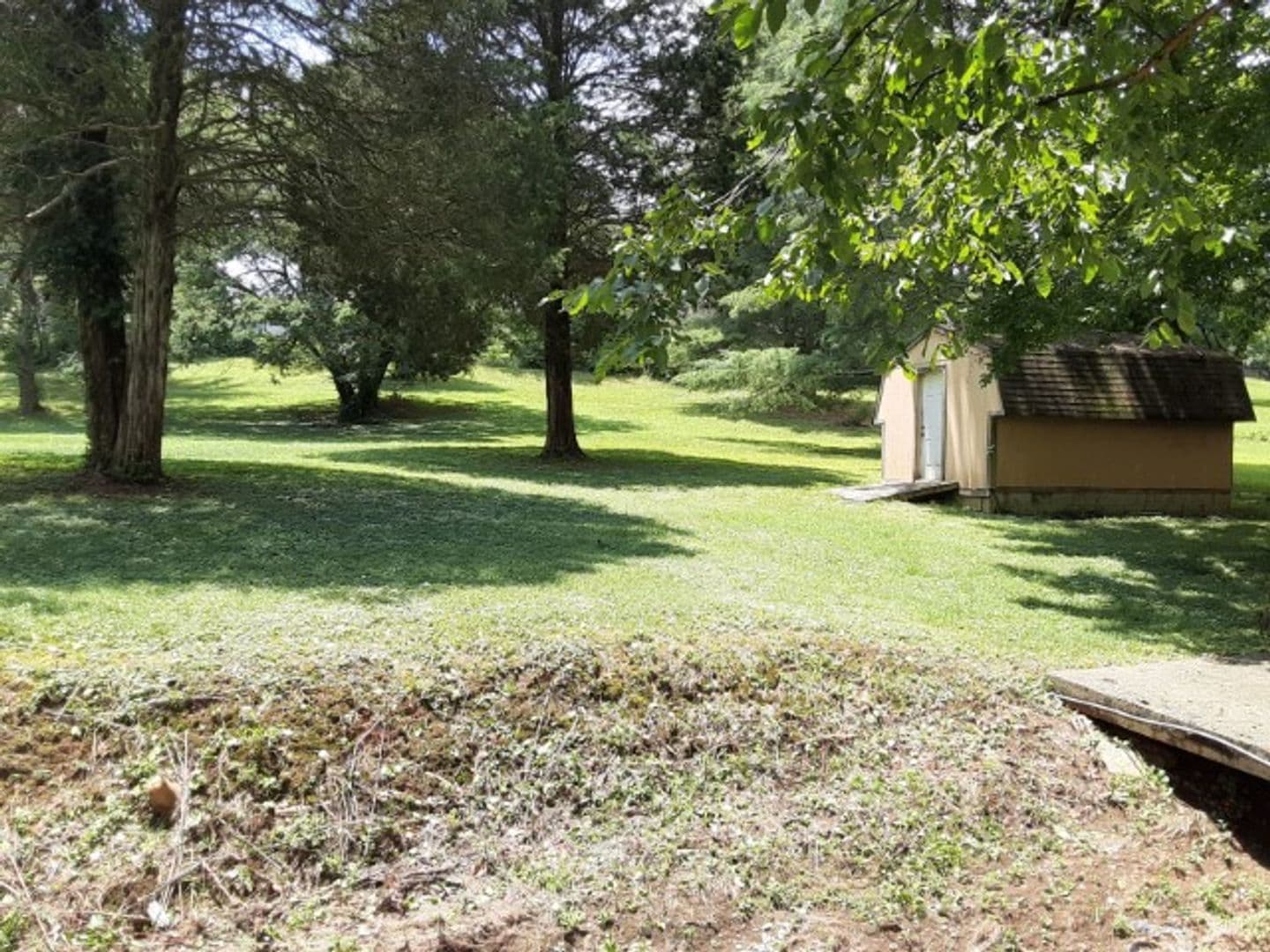 Oak Ridge House: 167 Louisiana Avenue