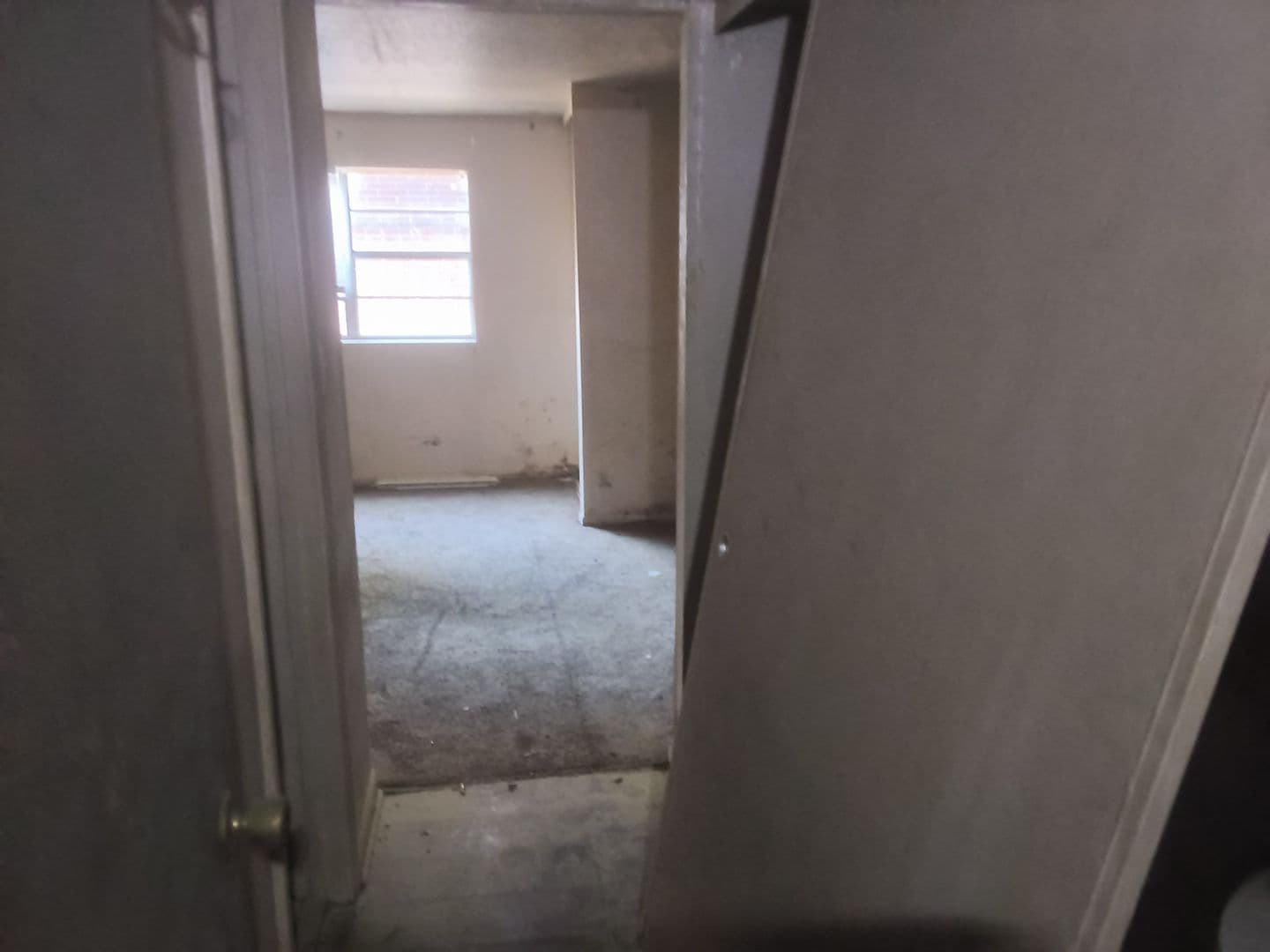 Jackson Apartment: 1505 North West Street - 108