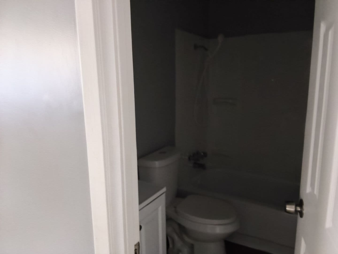 Jackson Apartment: 1505 North West Street - A03