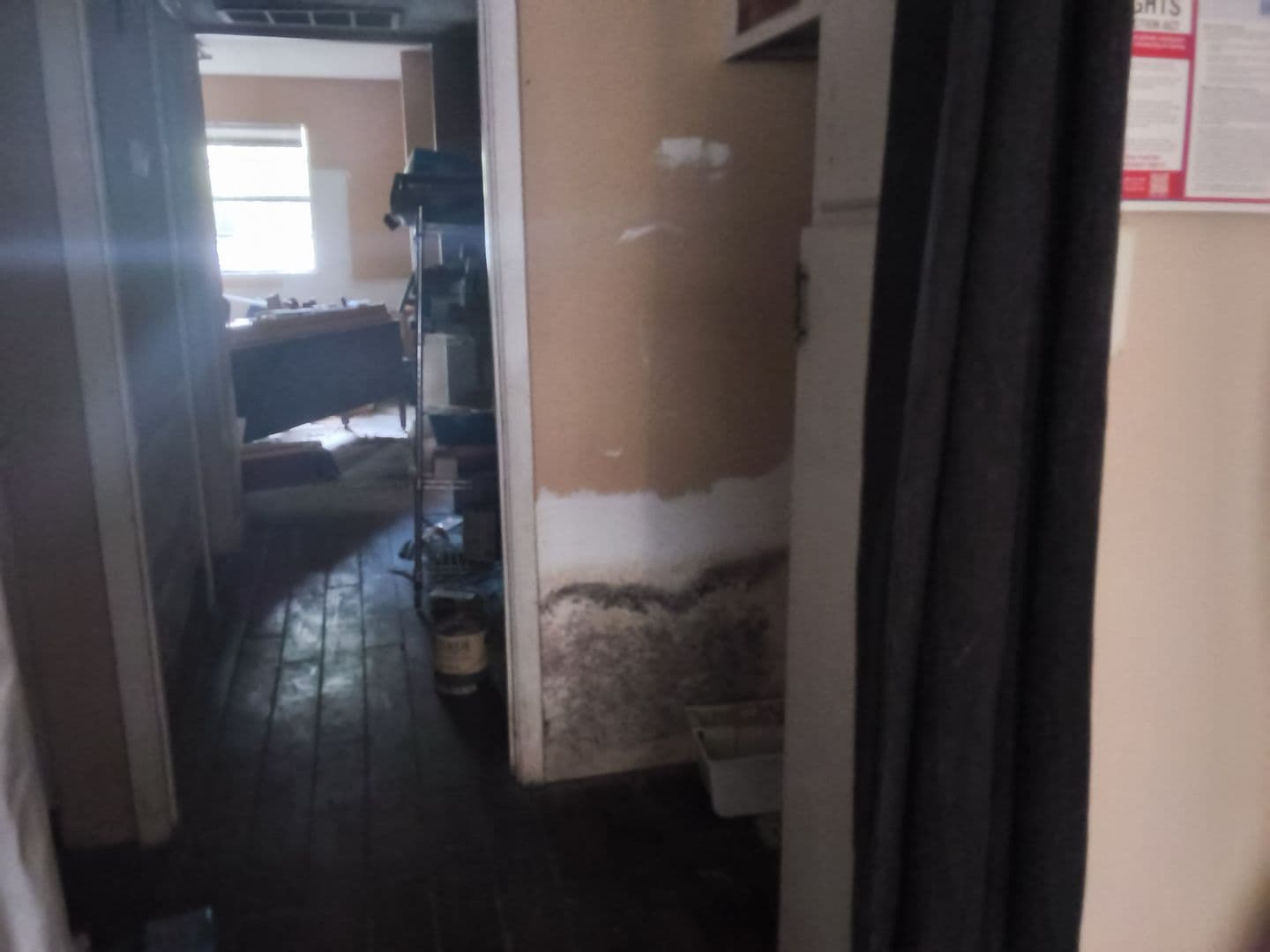 Jackson Apartment: 1505 North West Street - 102
