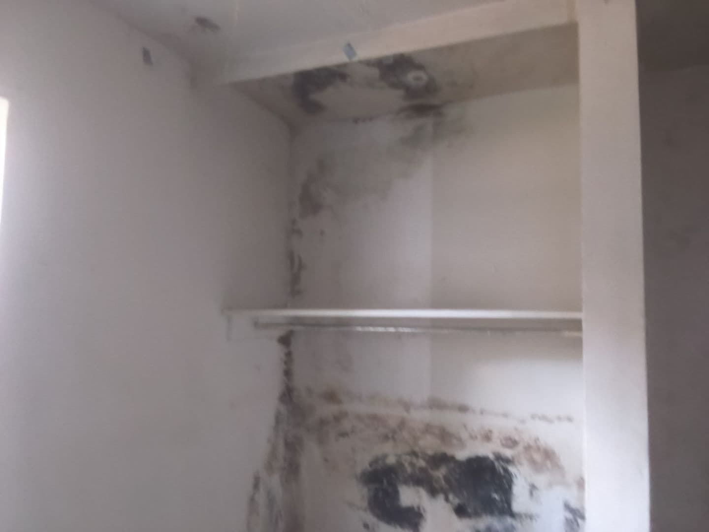 Jackson Apartment: 1505 North West Street - 108