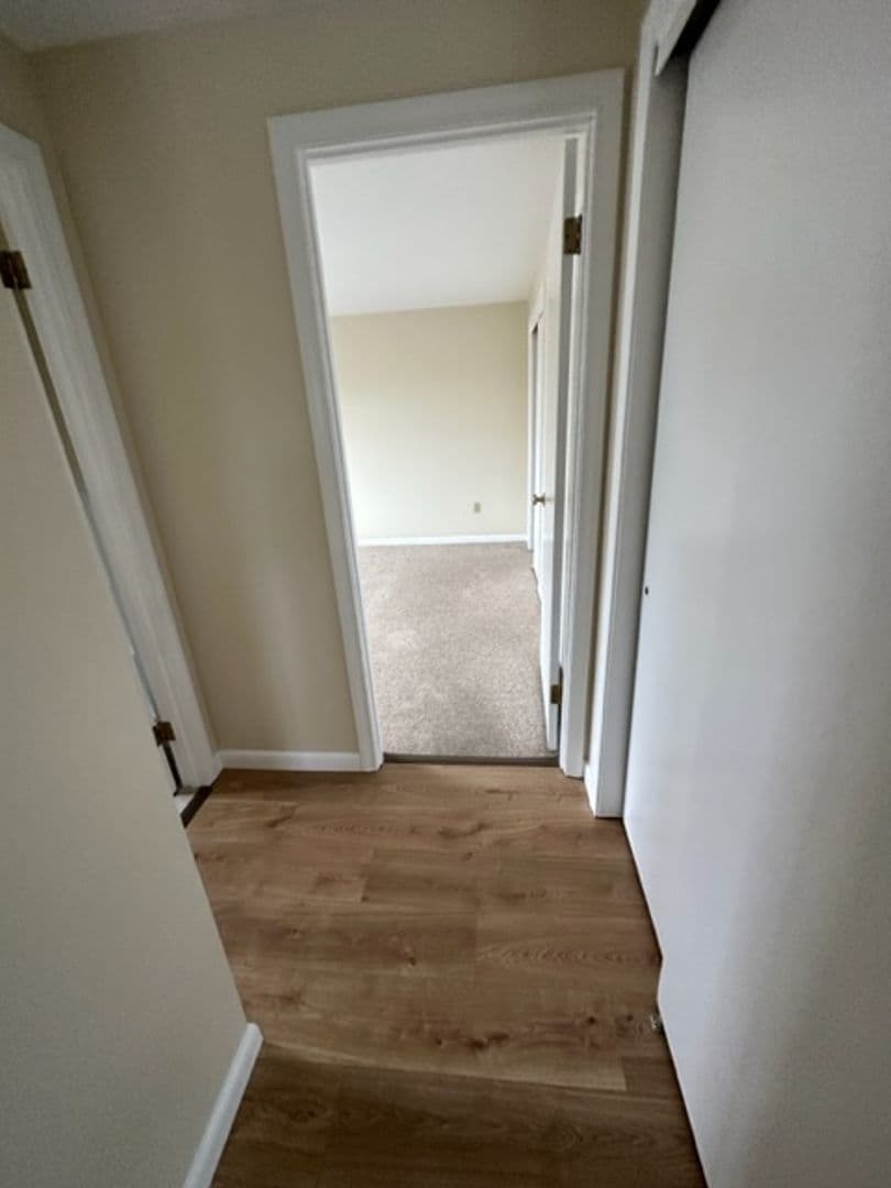Bristol Apartment: 288 Pine Street