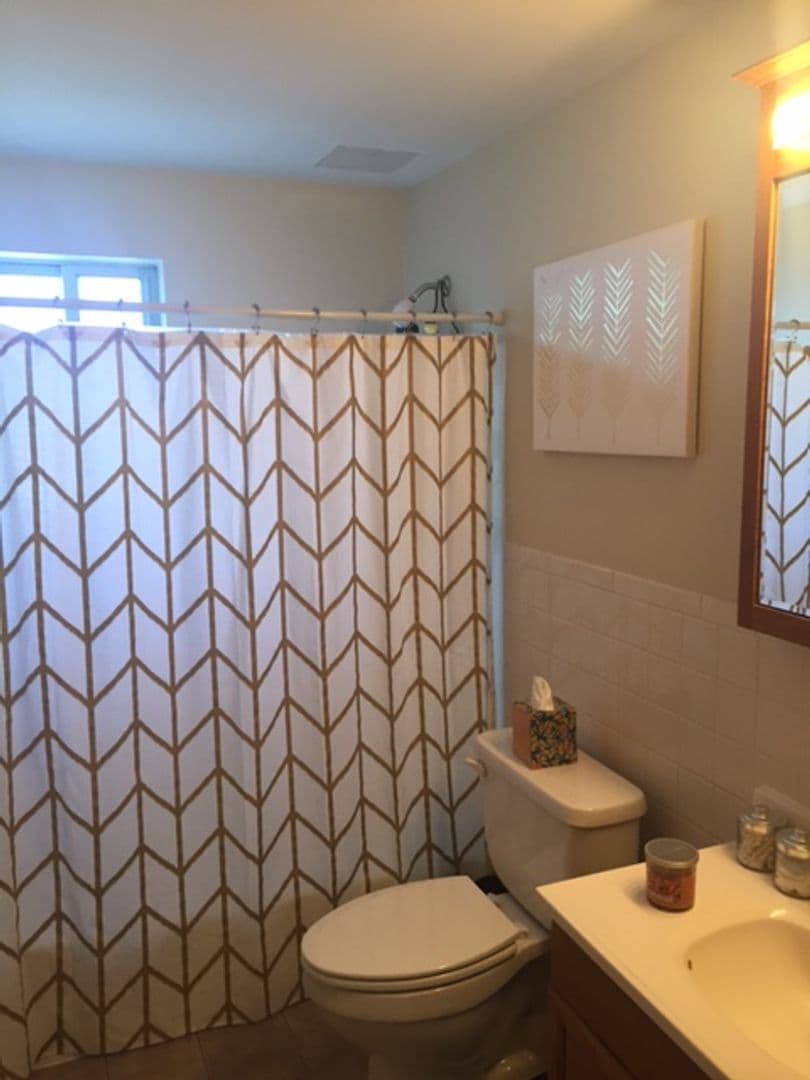 Bristol Apartment: 45 Hawthorne Street