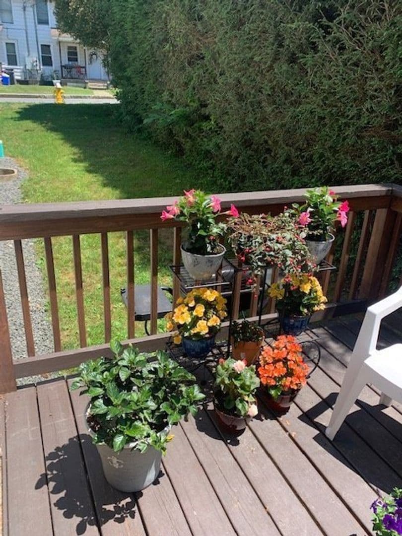 Stafford Springs Apartment: 28, 32, 34 Center Street