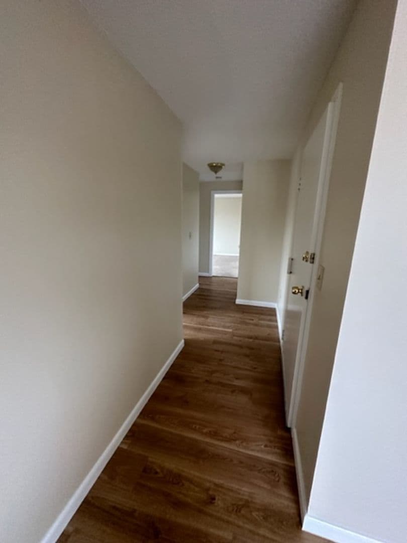 Bristol Apartment: 288 Pine Street
