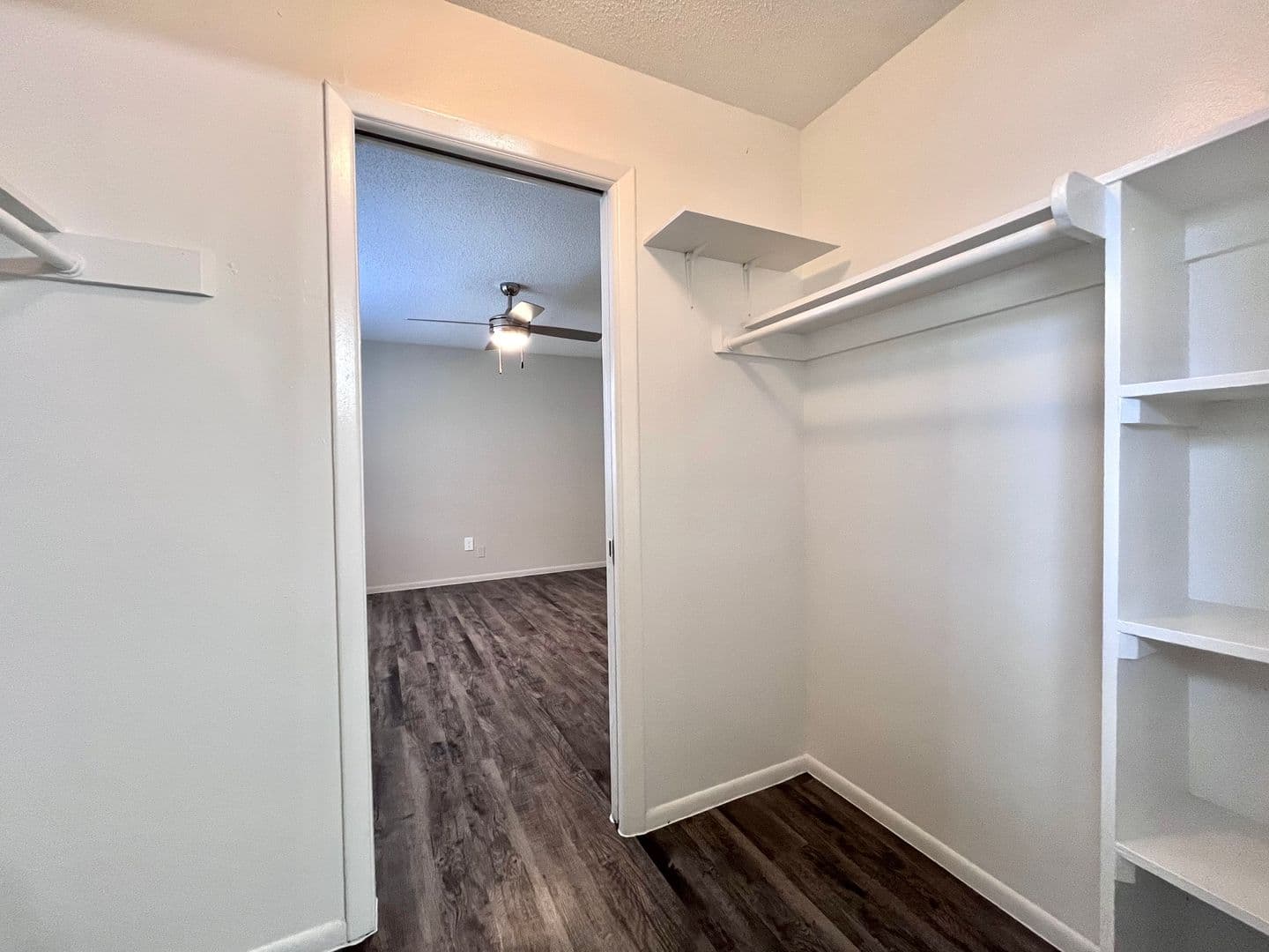 Tampa Apartment: 4002 S Manhattan Ave
