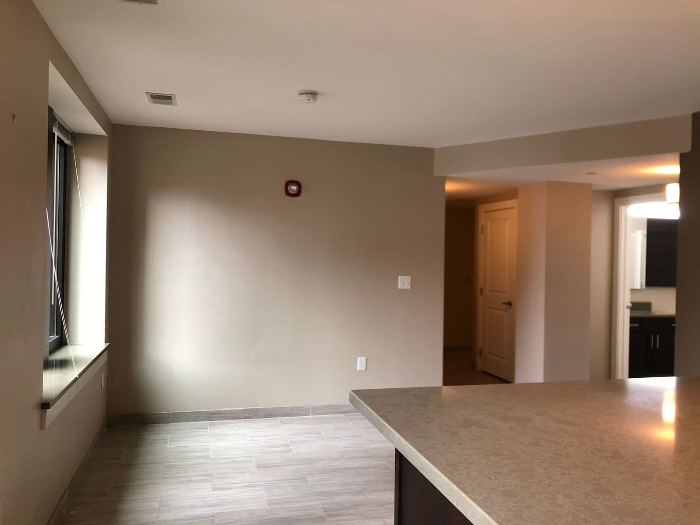 Detroit Apartment: 1212 Griswold St.