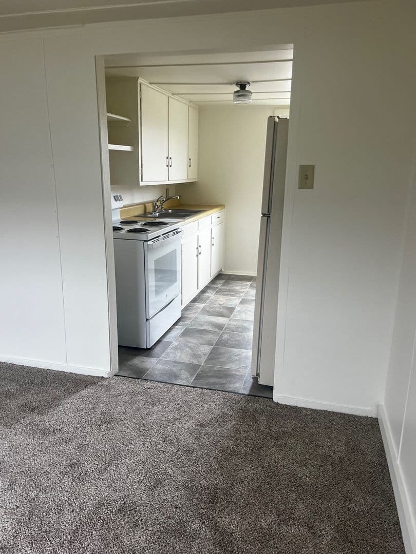Marquette Apartment: 203 Hotel Place