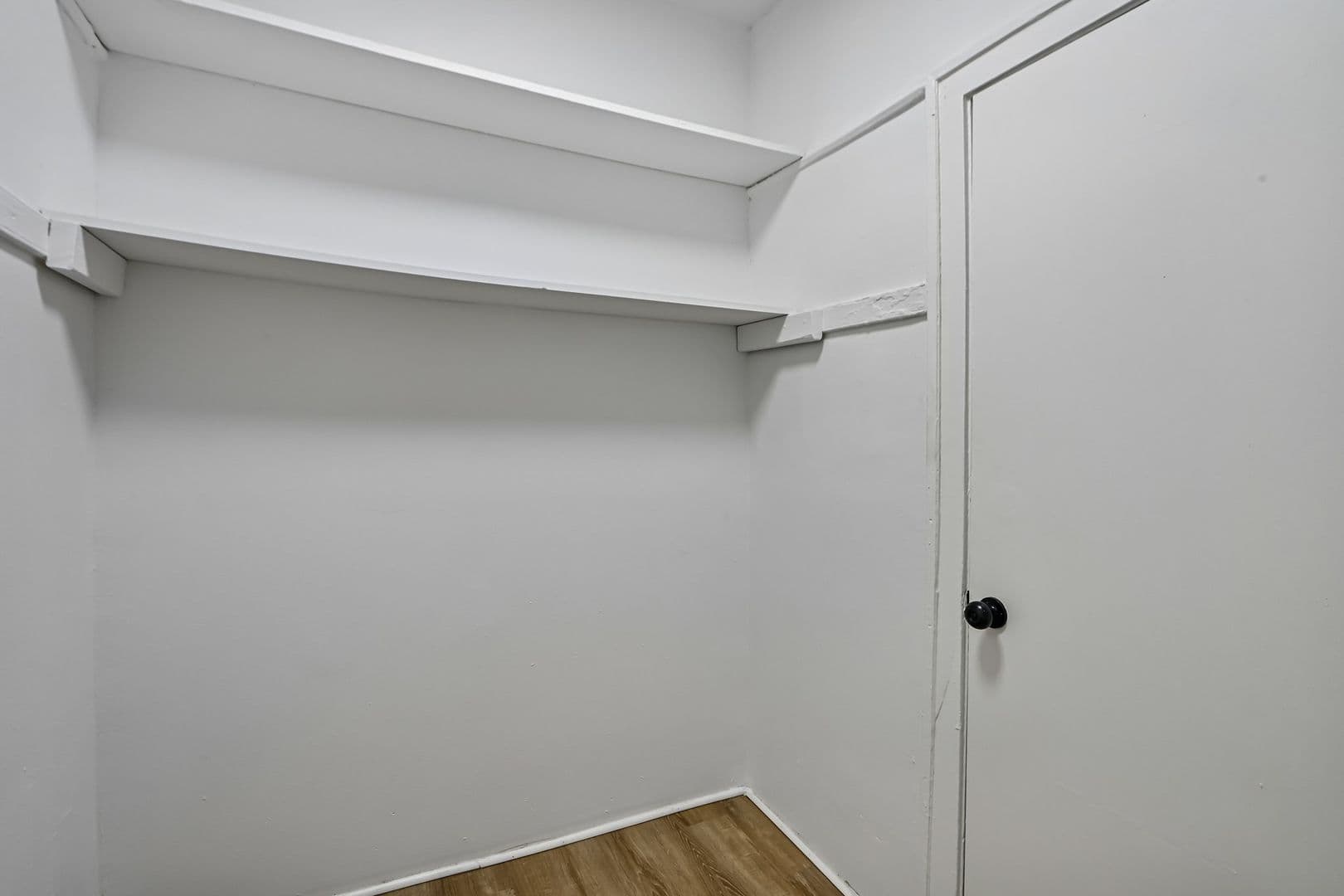 Chicago Apartment: 915 W Carmen Ave