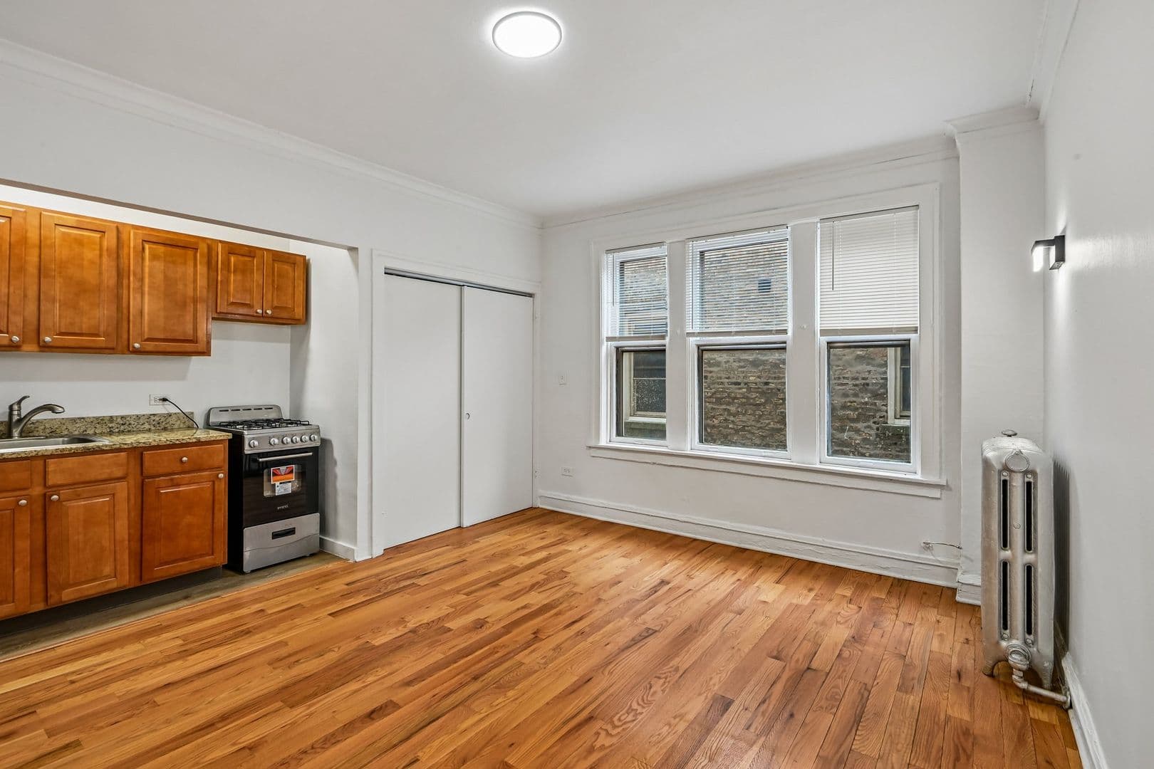 Chicago Apartment: 915 W Carmen Ave