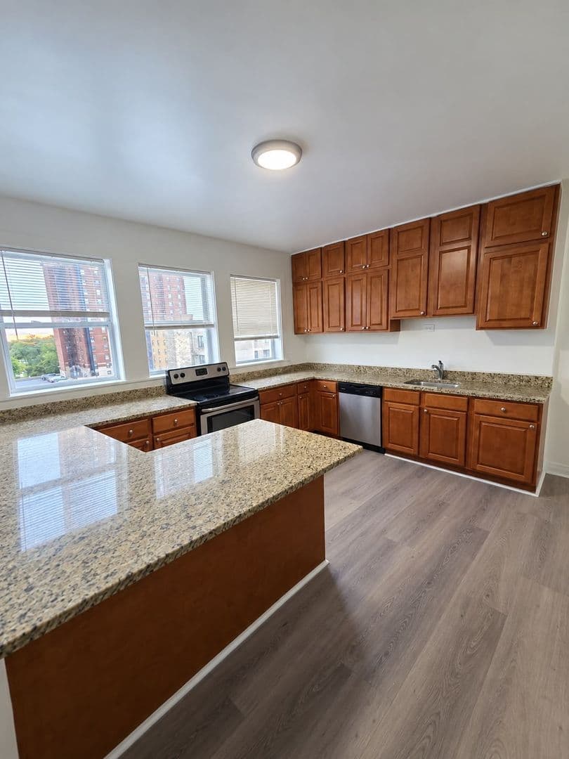 Chicago Apartment: 915 W Carmen Ave