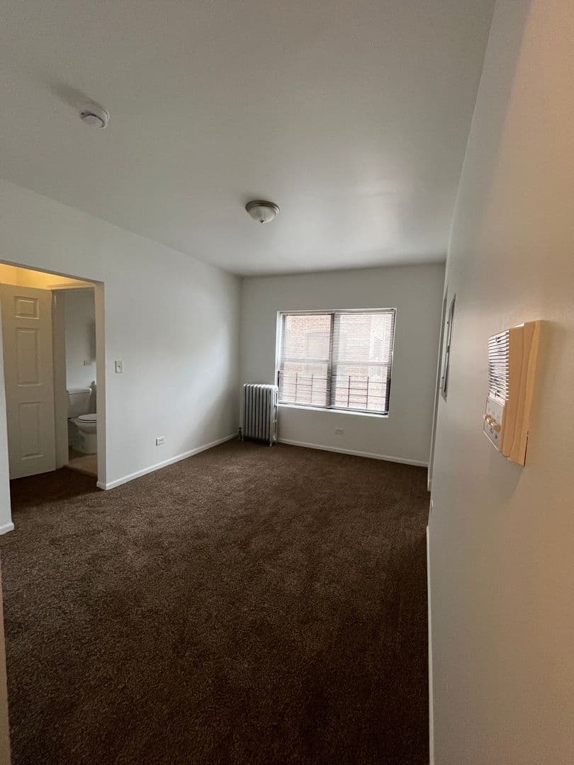Chicago Apartment: 8100-8114 S Essex Ave