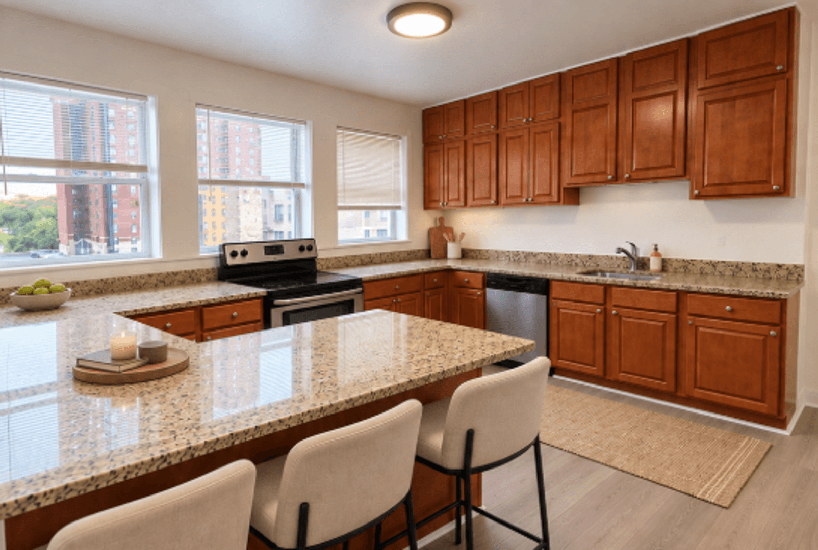 Chicago Apartment: 915 W Carmen Ave