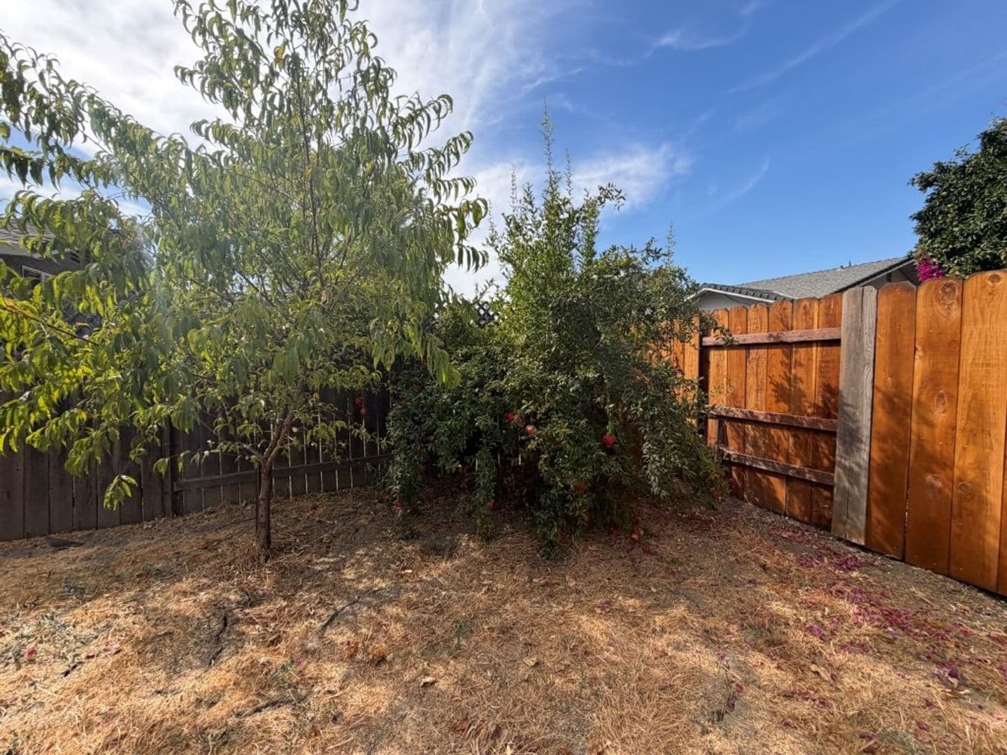 Woodland House: 120 Inyo Place