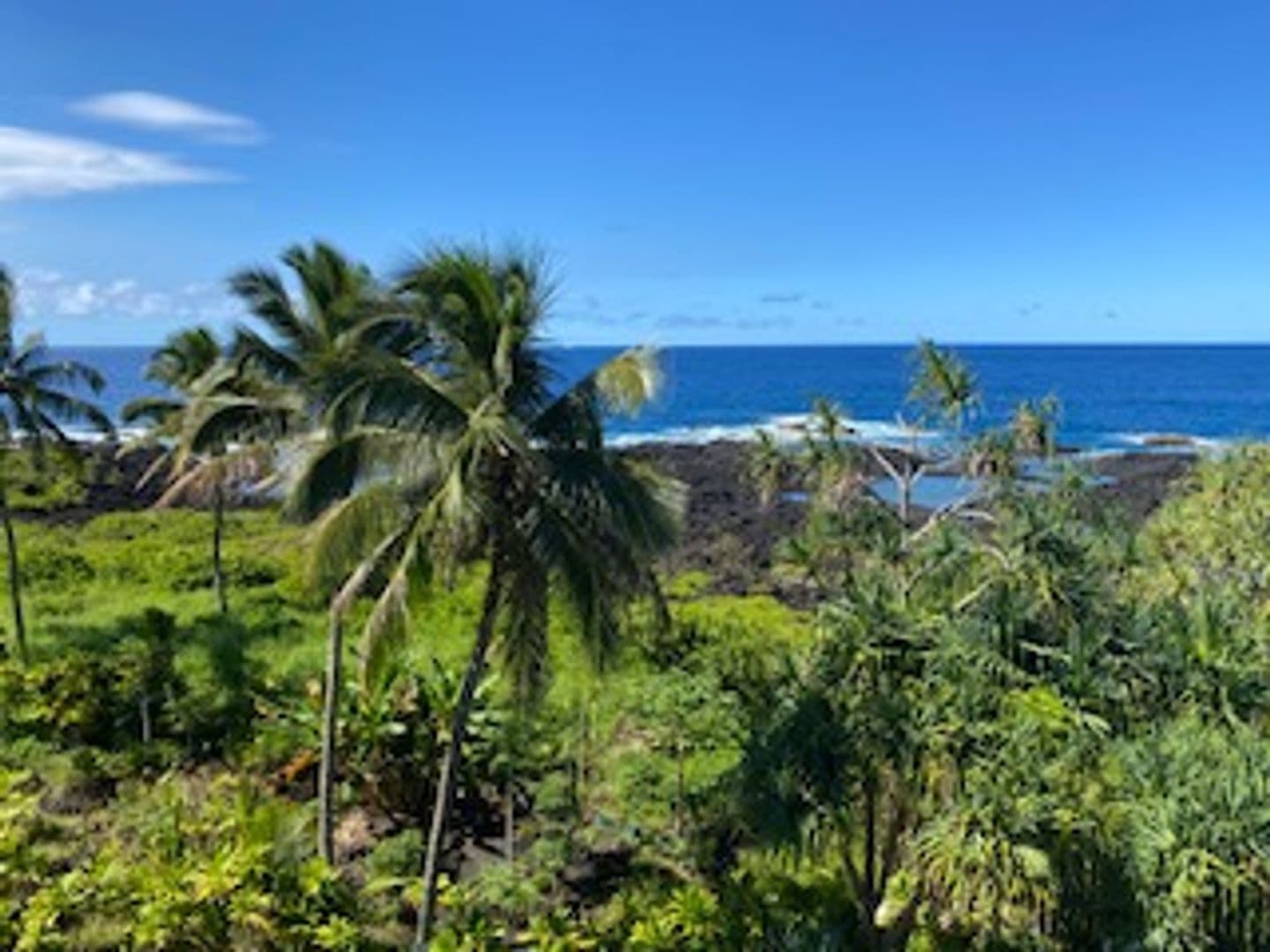 Hilo Condo: 2405 Kalaniana'ole Street #206