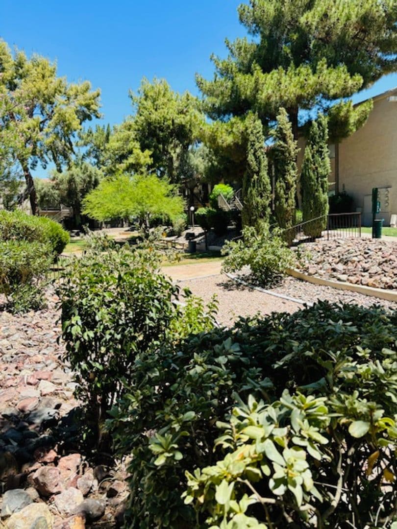 Phoenix Apartment: 1750 E Bell Rd.