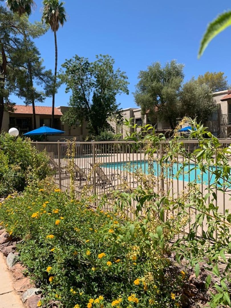 Phoenix Apartment: 1750 E Bell Rd.