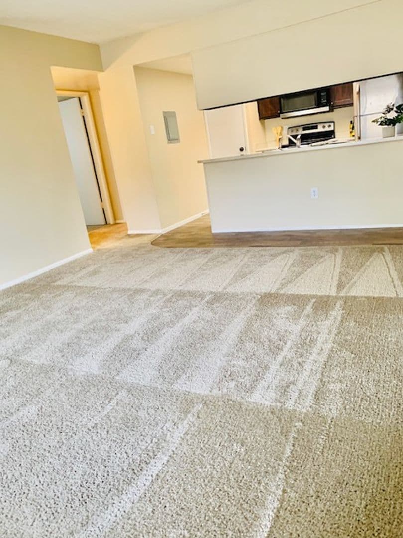 Phoenix Apartment: 1750 E Bell Rd.
