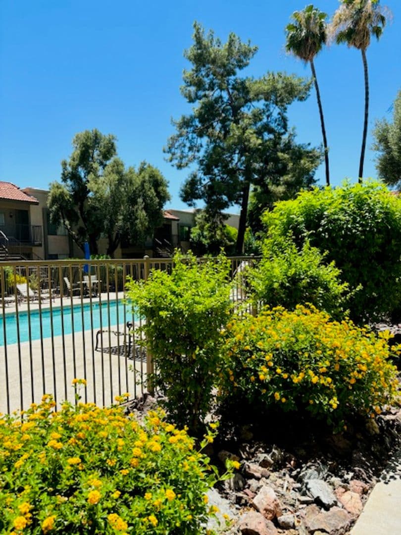 Phoenix Apartment: 1750 E Bell Rd.