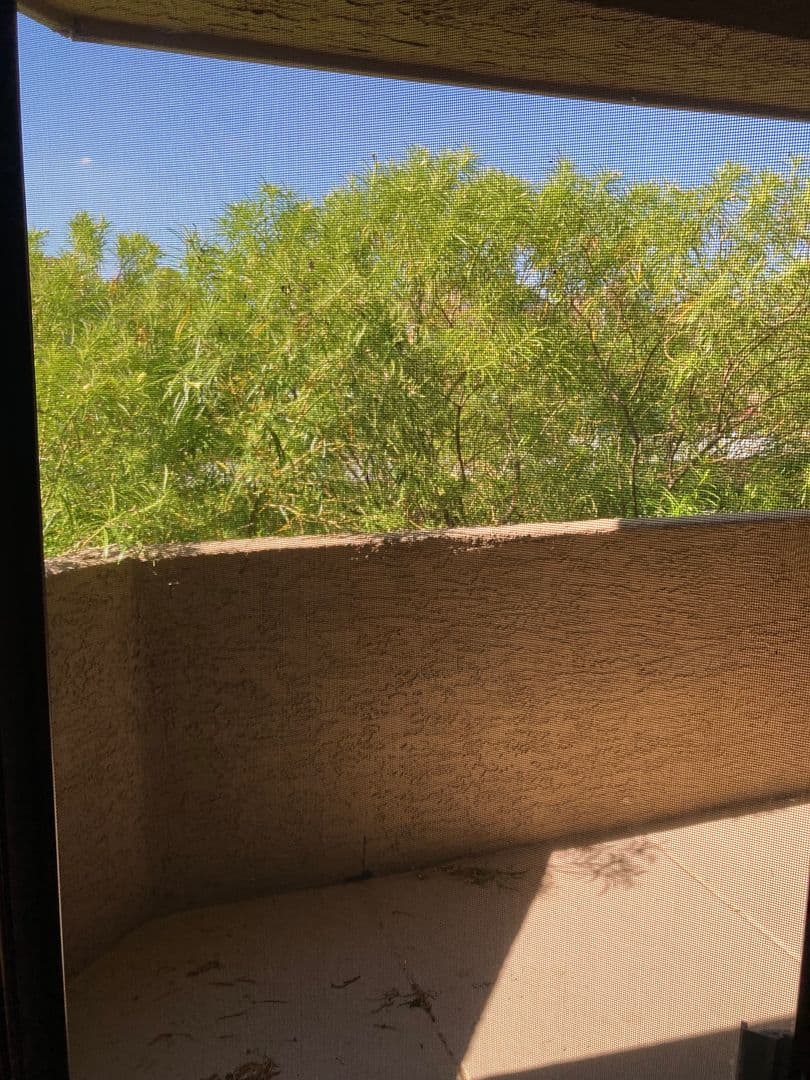 Phoenix Apartment: 5350 E Taylor St