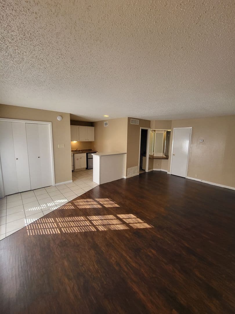 Tyler Apartment: 501 E. Houston St.