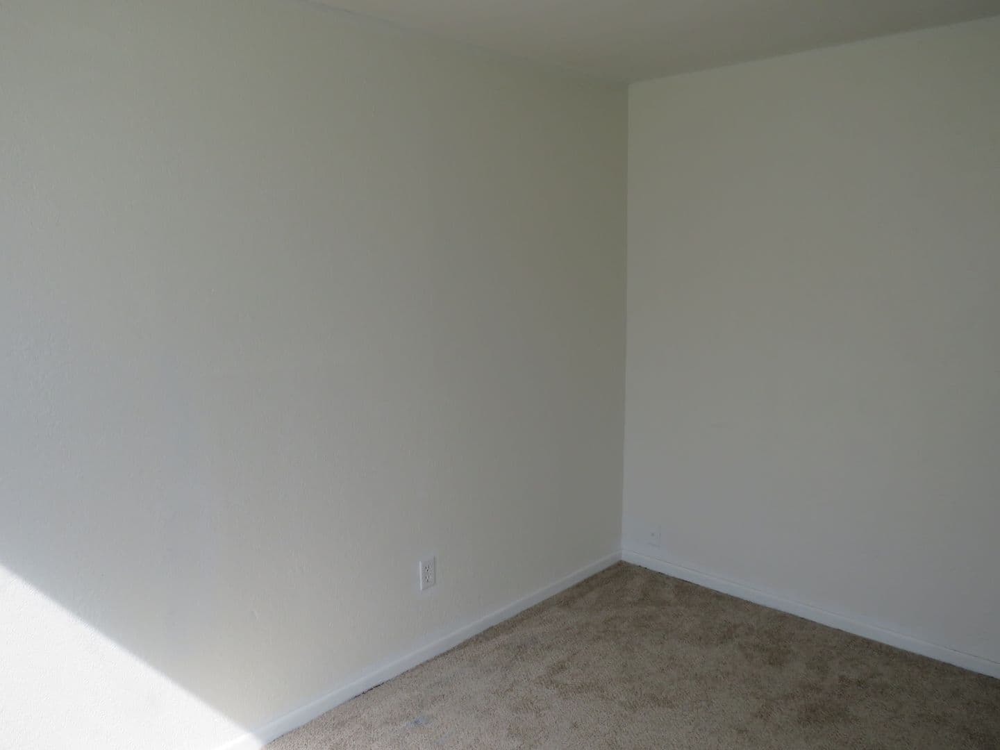 Billings Apartment: 317 Jackson Street