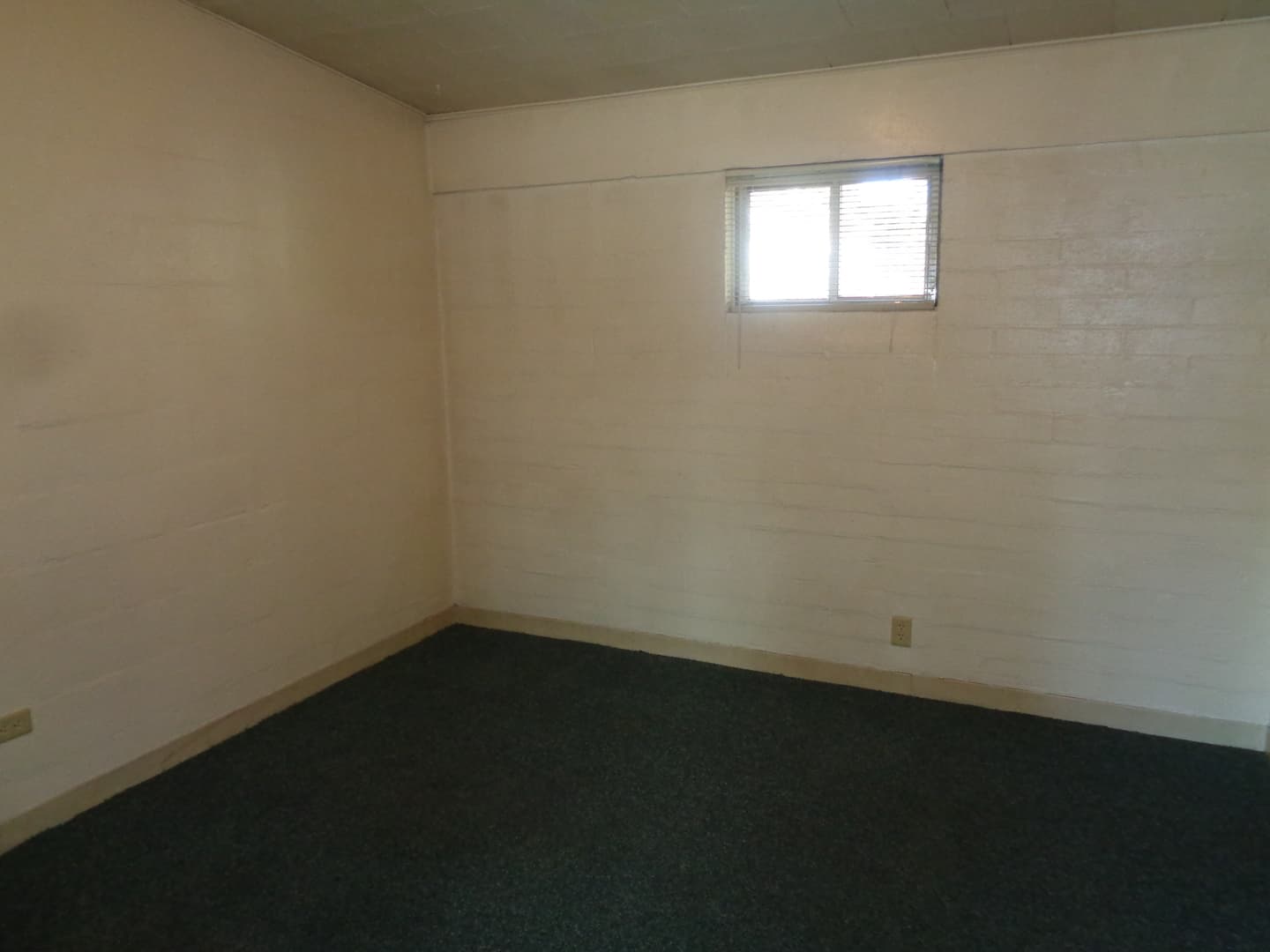 Billings Apartment: 428 Milton Rd