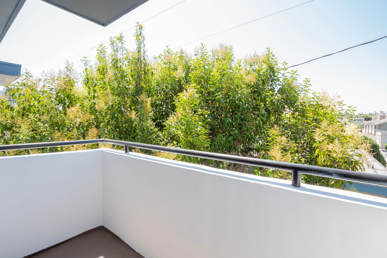 Los Angeles Apartment: 6526 Homewood Ave.