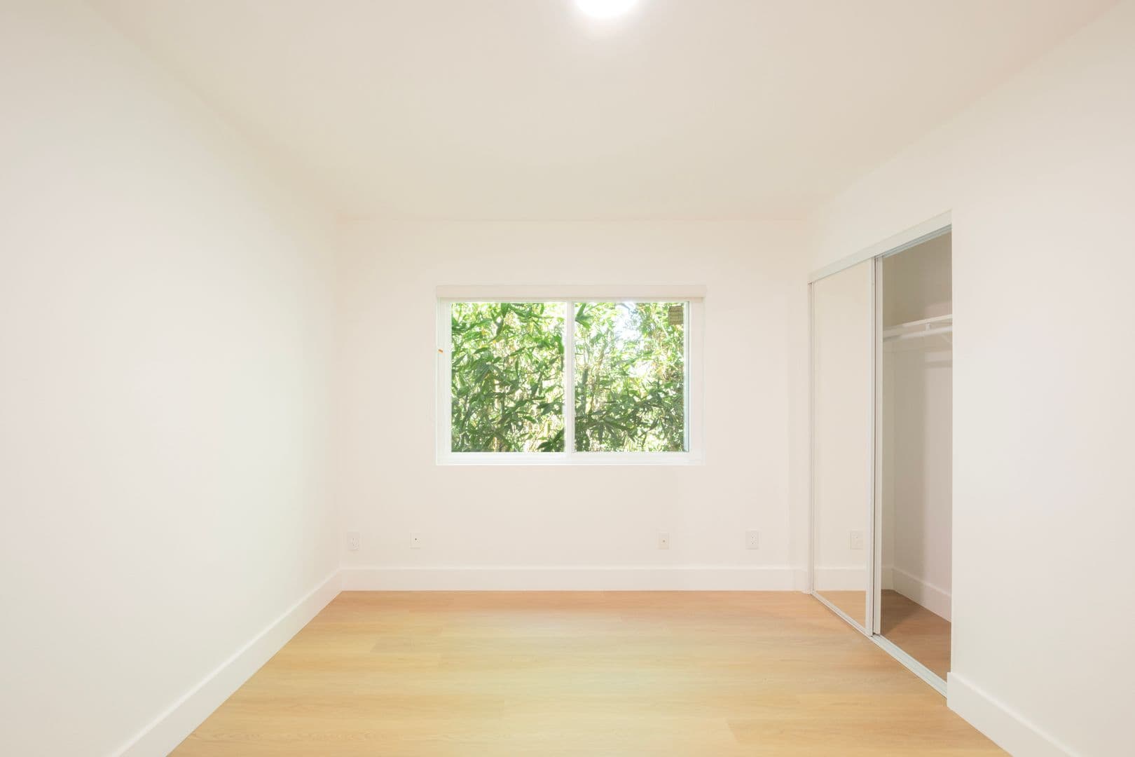 Los Angeles Apartment: 6526 Homewood Ave.