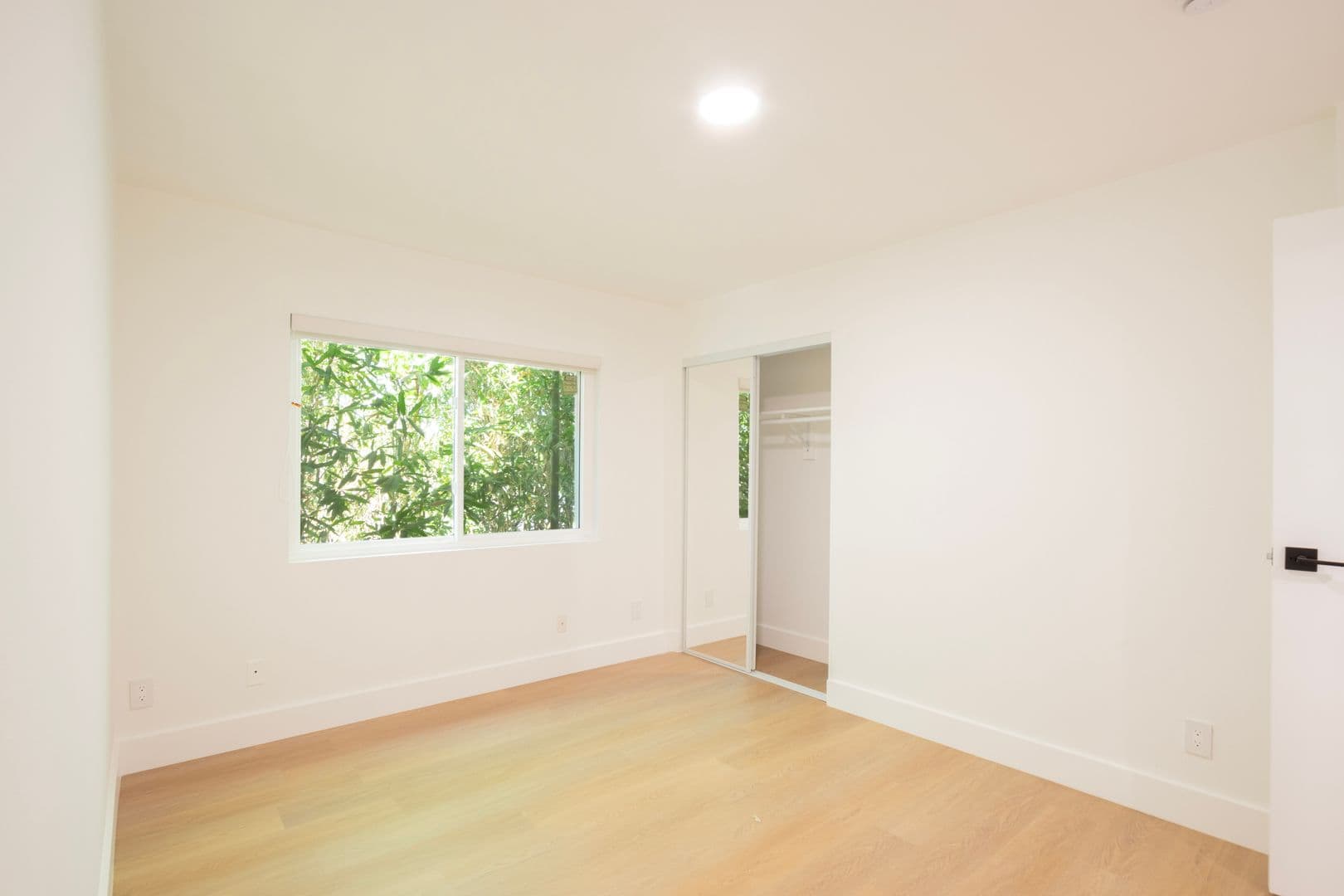 Los Angeles Apartment: 6526 Homewood Ave.