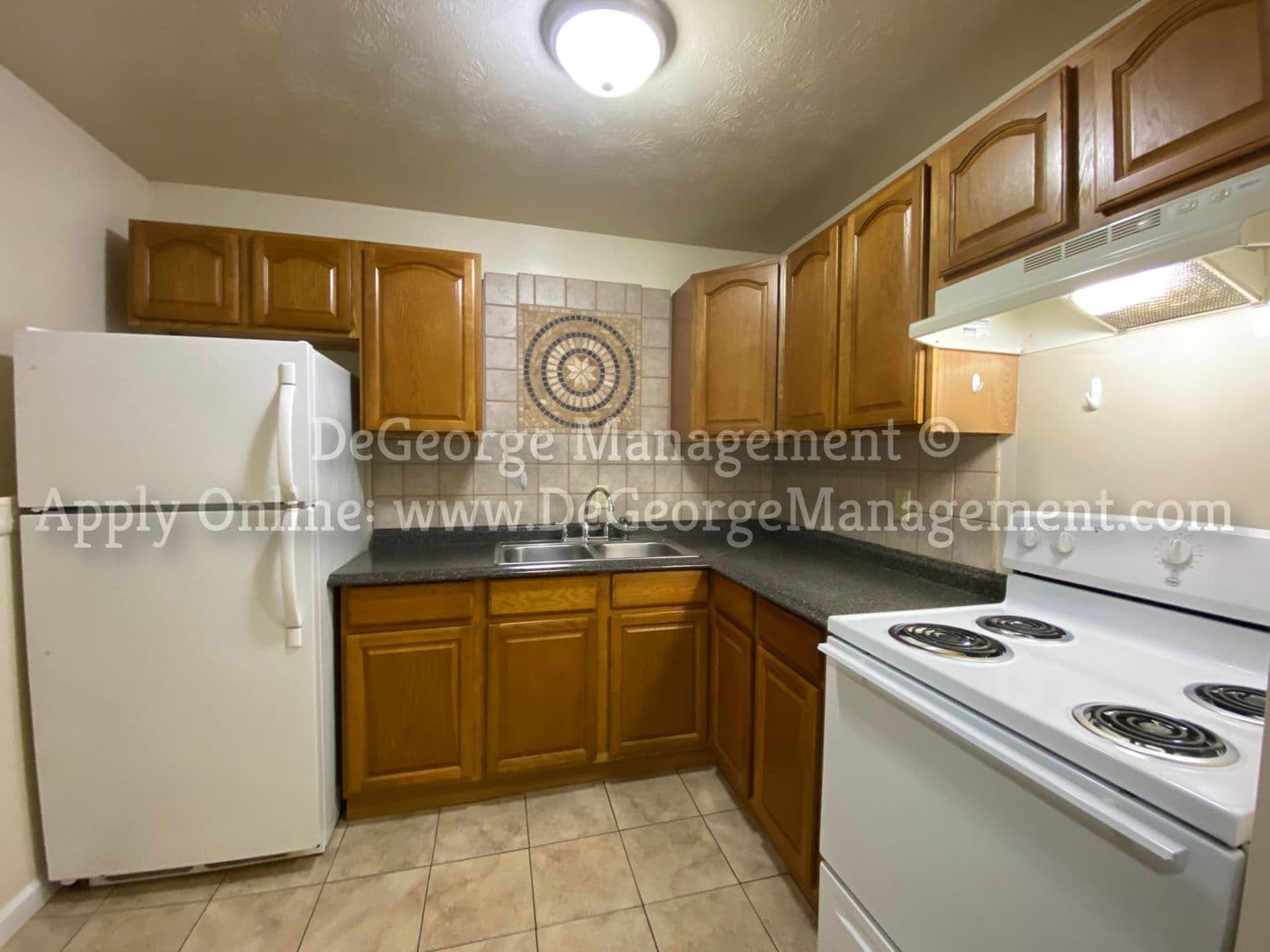 Holley Apartment: 101 West Albion Street