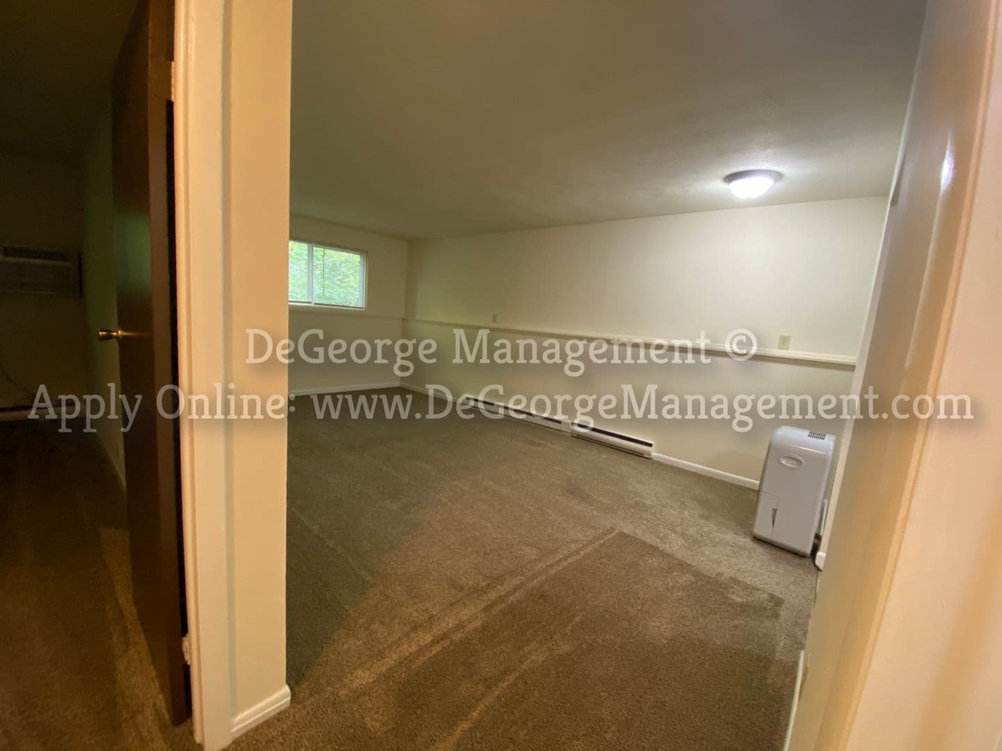 Holley Apartment: 101 West Albion Street