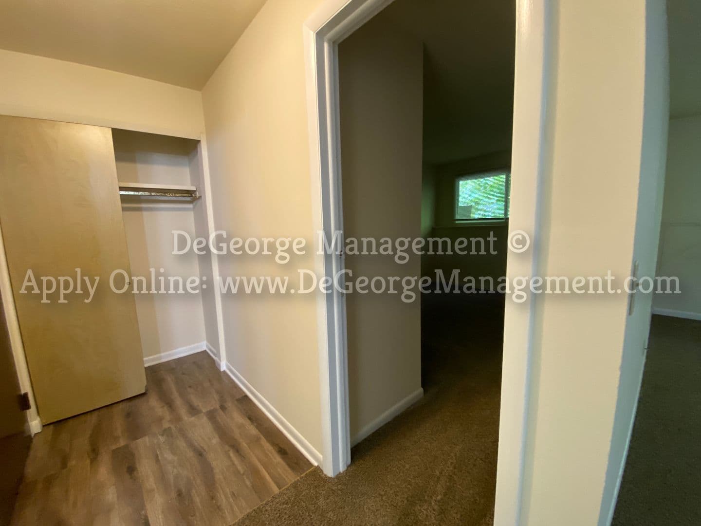 Holley Apartment: 101 West Albion Street