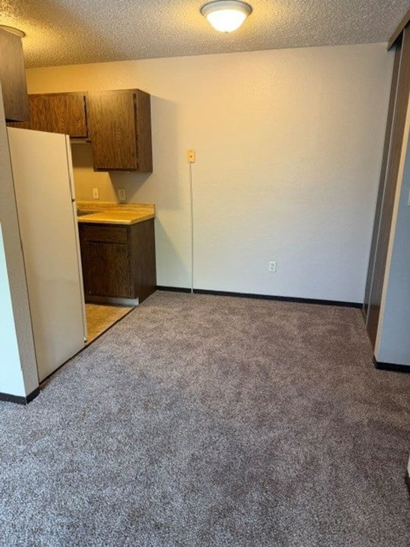 Brookings Apartment: 1005 5th St S