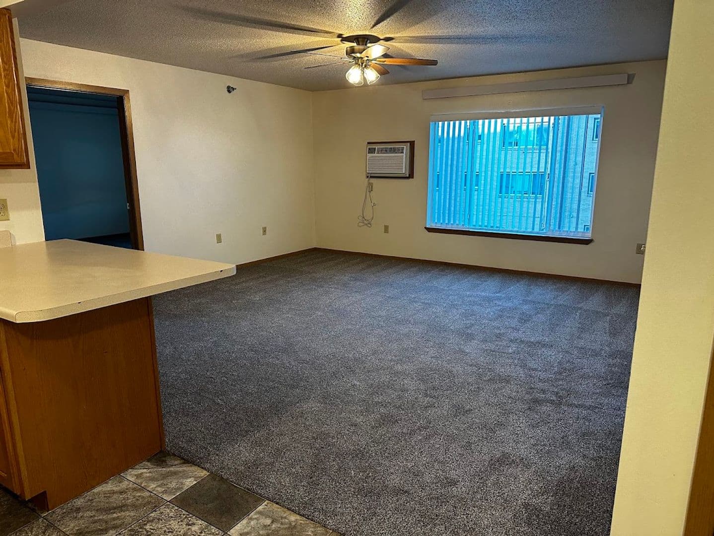 Brookings Apartment: 2221 10th St