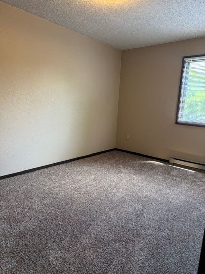 Brookings Apartment: 1005 5th St S