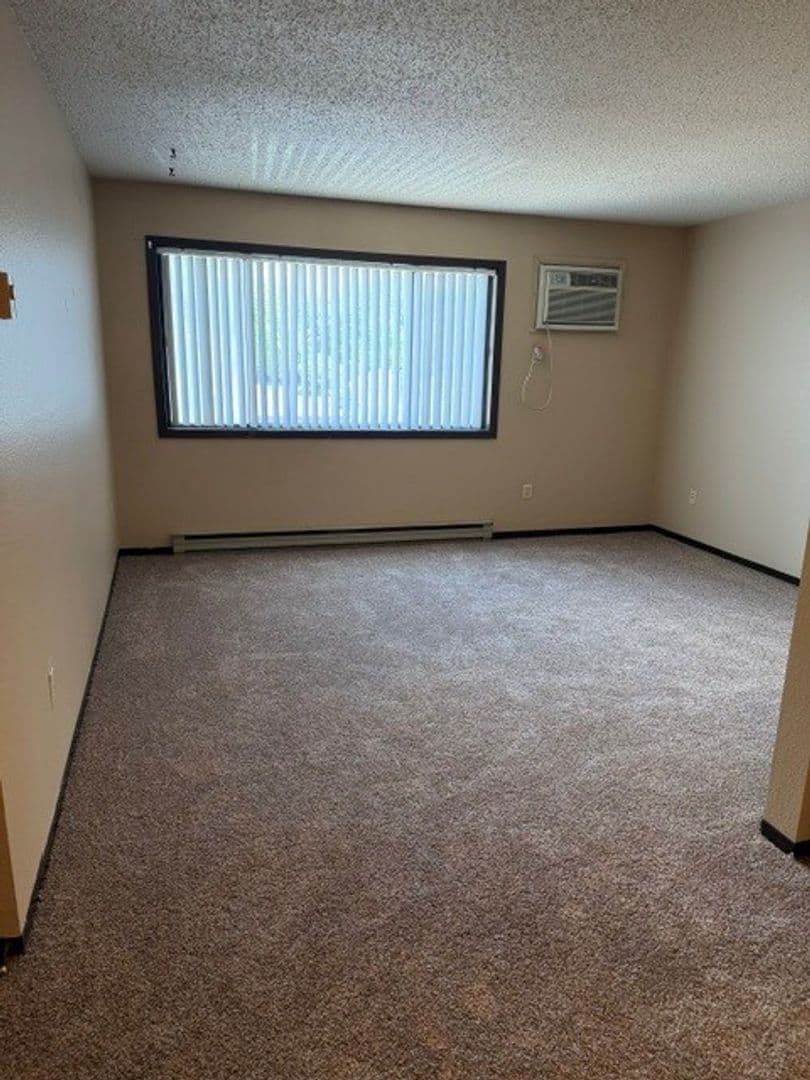 Brookings Apartment: 1005 5th St S